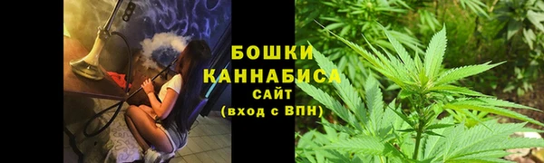 бошки Богданович