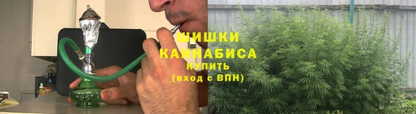 бошки Богданович
