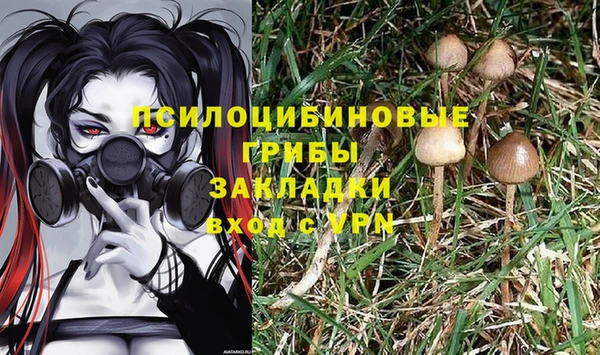 амфетамин Богородск
