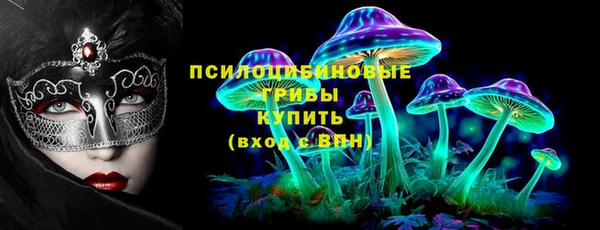 прущая мука Богородицк