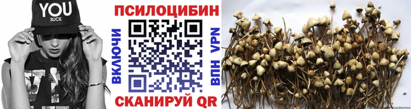 Галлюциногенные грибы мицелий  Динская 